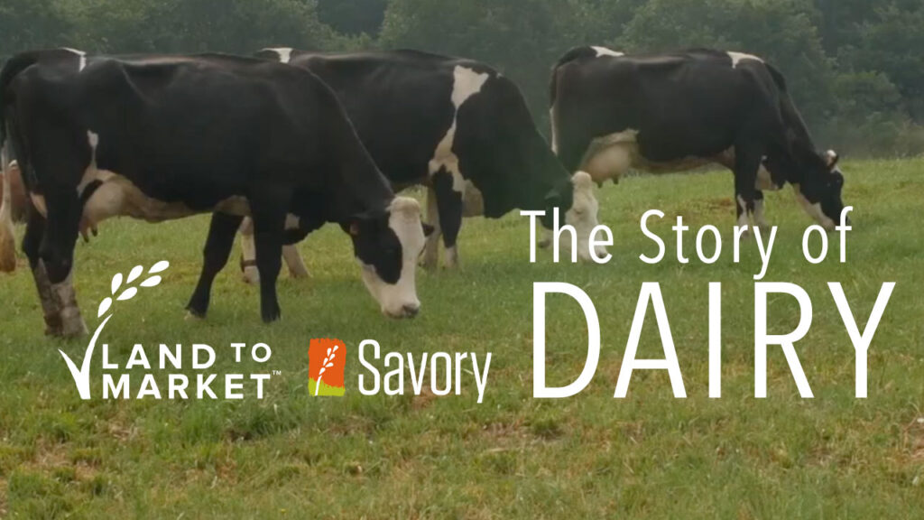 story-of-dairy-youtube-preview