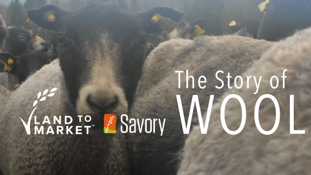 story-of-wool-youtube-preview