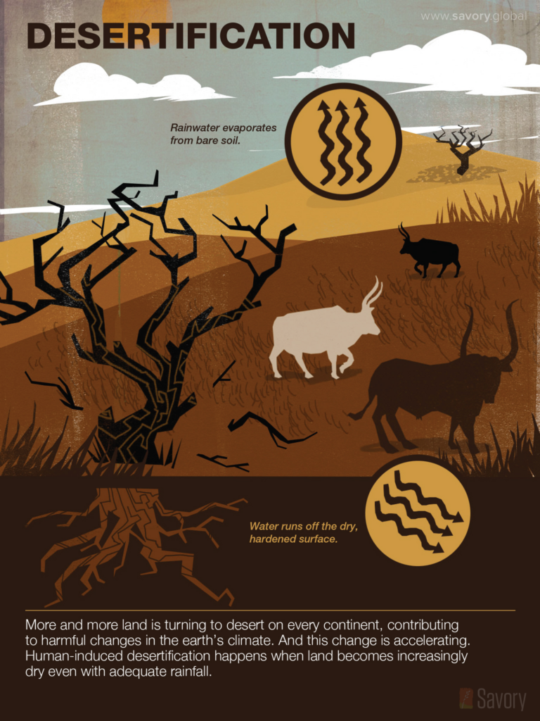 1-desertification