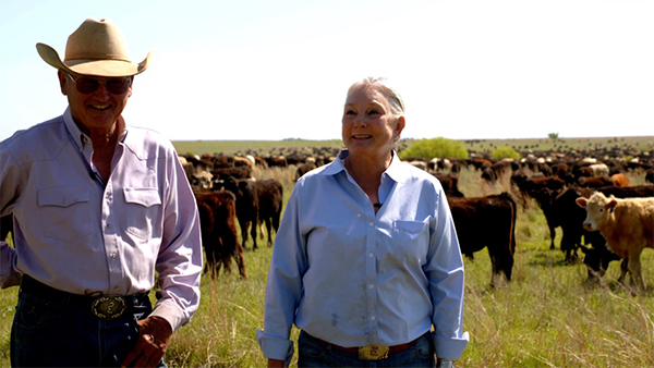 Herd-Impact birdwell clark
